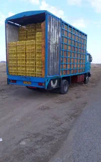 اتاق قفس مرغی