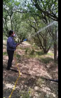 شخم زنی علف زنی سم پاشی