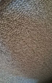 موکت ظریف مصور