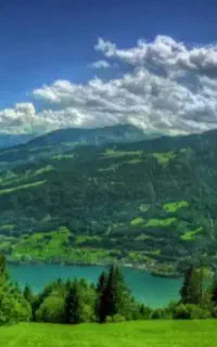 تعدادی وانت  پیکان ،اریسان، نیسان، نیازمندیم