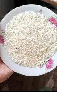 برنح علی کاظمی