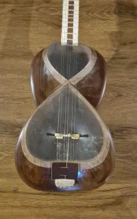 ساز ۲۰ ساله