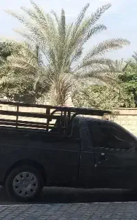 وانت بار بومی درکل جزیره وبیرون ازجزیره