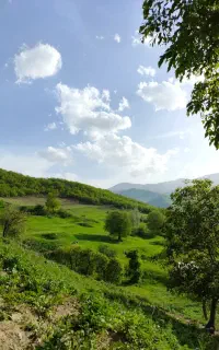 اجاره خانه در روستای بکر و جنگلی ناپشته ، کلیبر