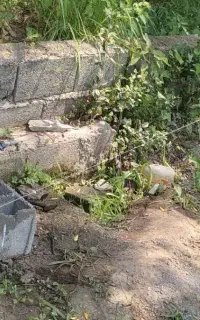 گچ کاری و بنایی