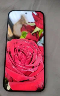 گوشی وان پلاس نورد 6 حافظه ۵۱۲
