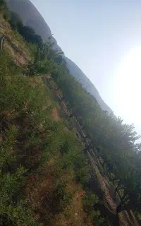 باغ چهل چشمه