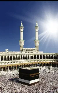 فروش فیش عمره