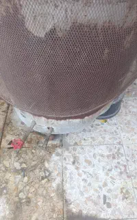 تنوپنج نونه