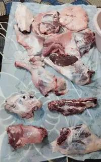 سلام علیکم گوشت بره تازه کشتاامروزمشتری واقعی