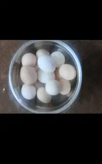 تخم مرِغ محلی تازه