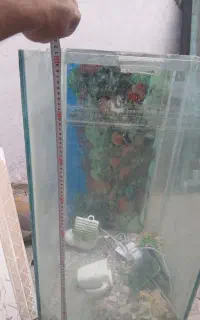 آکواریوم