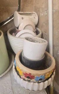 گلدان و زیر گلدانی