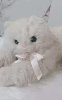 عروسک گربه