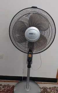پنکه ایستاده