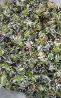 گل ساعتی اعلا