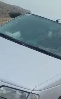 شاستی سالمه تازه تمام رنگ کردم