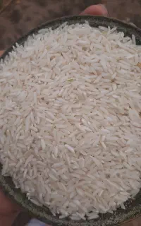برنج هاشمی درجه یک ۴۵۰