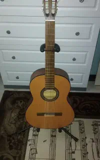 گیتار رویال نو