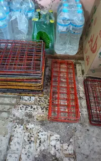 قفسه طوری