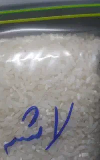 طارم درجه یک آزادشهر هستیم