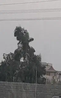 اجاره باغ بدون  اتاق