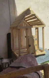 قفس پرنده