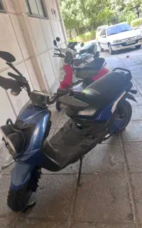 سافاری
