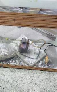 اکواریوم