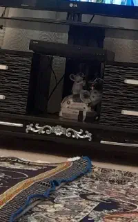 لوازم خانگی