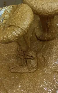 دوستان کسی خواست ما در خدمتتون هستیم