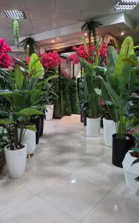 درخت و درختچه های مصنوعی کاشان