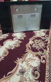 هودلمسی