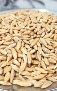 جو واریز نقدی خریدارم