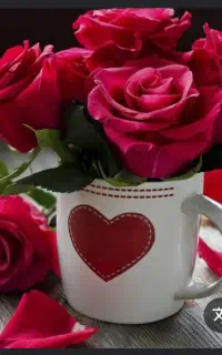 تعدادی گونی کهنه و نو جای کود و گندم
