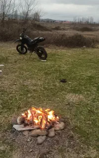 تریل مزایده