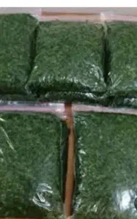 قورمه سبزی