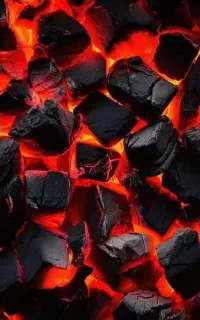 پخش زغال بصورت عمده و جزئی