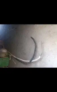 لوله اسپیلت