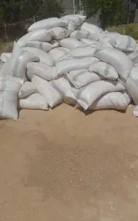 سبوس گندم دامی