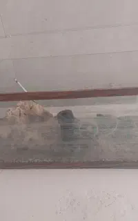 اکواریوم با وسایل معاوضه با وسیله  دارم