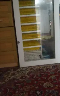 دستگاه جوجه کشی ۲۵۰تایی