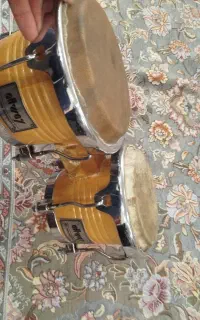 بینگو بانگو