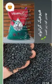 یک فروشنده خانم