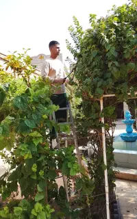 باغبانی.گل کاری.نگهداری