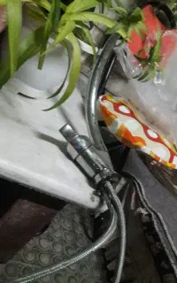 شیرکاملاسالم