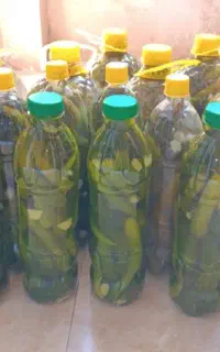خیارشورِ خونگیِ ترد و خوش‌مزه