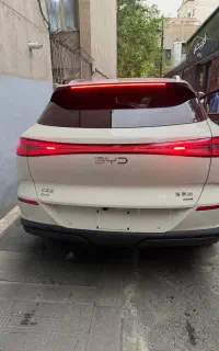 بی وای دی سی لاین /byd see lion
