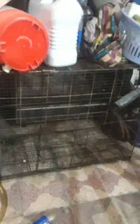 قفس بزرگ جادار سبک