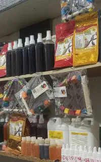 پرنده فروشی پرهام